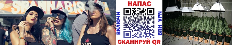 Купить закладку Марихуана  МЕФ  Гашиш  Великий Устюг