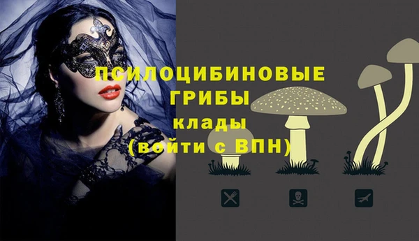 наркотики Белокуриха